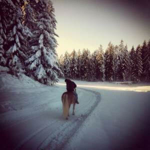 IMG_5355 IMG_5355
